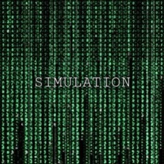 Simulation