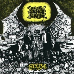 Napalm Death "Scum" acoustic cover