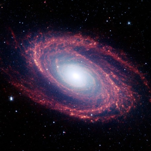 Spiral Galaxy
