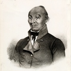 10-3 Bicentennial Minute - Black Hawk