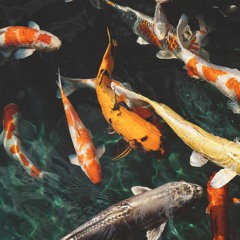 The World Has Changed