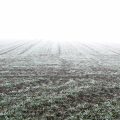 mélancolie automnale