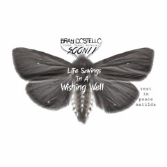 LIFE SAVINGS IN A WISHING WELL <3 <3 <3 (Prod. Casual Affairs)