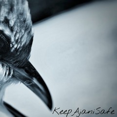 Imagination (Mockingbird)