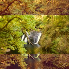 Autumn Spring (Asleep at the Beat)