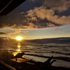 a day by the window