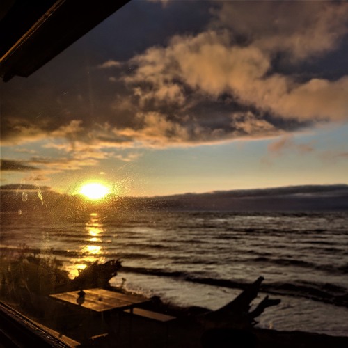 a day by the window