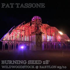 Wildwoodstock @ Babylon (Burning Seed 2018)