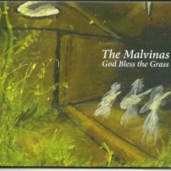 The Malvinas - God Bless the Grass edit 8d