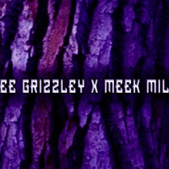 Tee Grizzley X Meek Mill Type Beat 2018 [Ski'd Up]