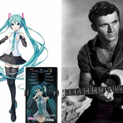 Mikerlou (Miku sings Miserlou)