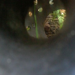 Le Lutin Qui Ne Pensait Qu'a Danser