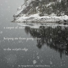 To the ocean's edge [naviarhaiku247 - a carpet of snow]