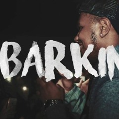Ramz - Barking (Dj Cannut Dancehall Remix) Radio Edit