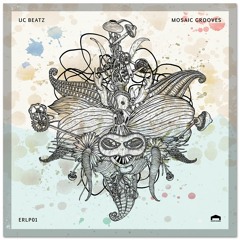 UC Beatz - Mosaic Grooves LP (ERLP01)