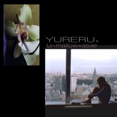 ゆれる。(U-mallow.asae)