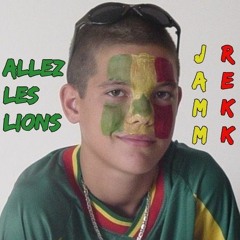 Allez Les Lions - Single