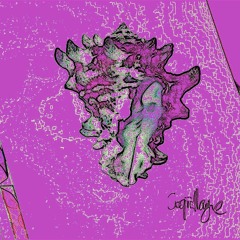 Coqiiillage - Rich Brian - Who That Be (remix)