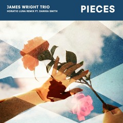 PREMIERE: James Wright Trio - Pieces ft. Danika Smith (Horatio Luna Remix)