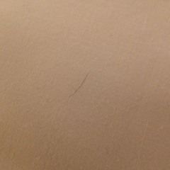 Pubez Evereewher! {mix20792.48}