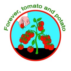 Forever, tomato and potato