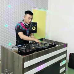 NST - Việt Mix - Anh Gệ Miền Tây Ver 2 - Ty Ngáo Ộp