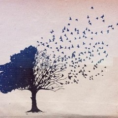 Francisco Soto - Ave de Paso (v2018)