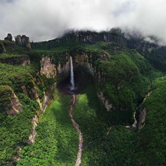 Rainforest - Divinorum 2013 [Free Download @4K followers]