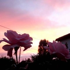 Automne Ft. Ascle & Mr. Freeze (Prod. by Serrotonine)