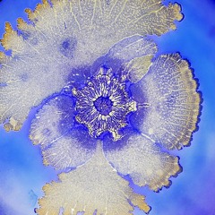 Might we create synthetic biological motors modelled on bacteria? - Richard Berry