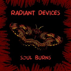 Soul Burns (Einstürzende Neubauten cover)