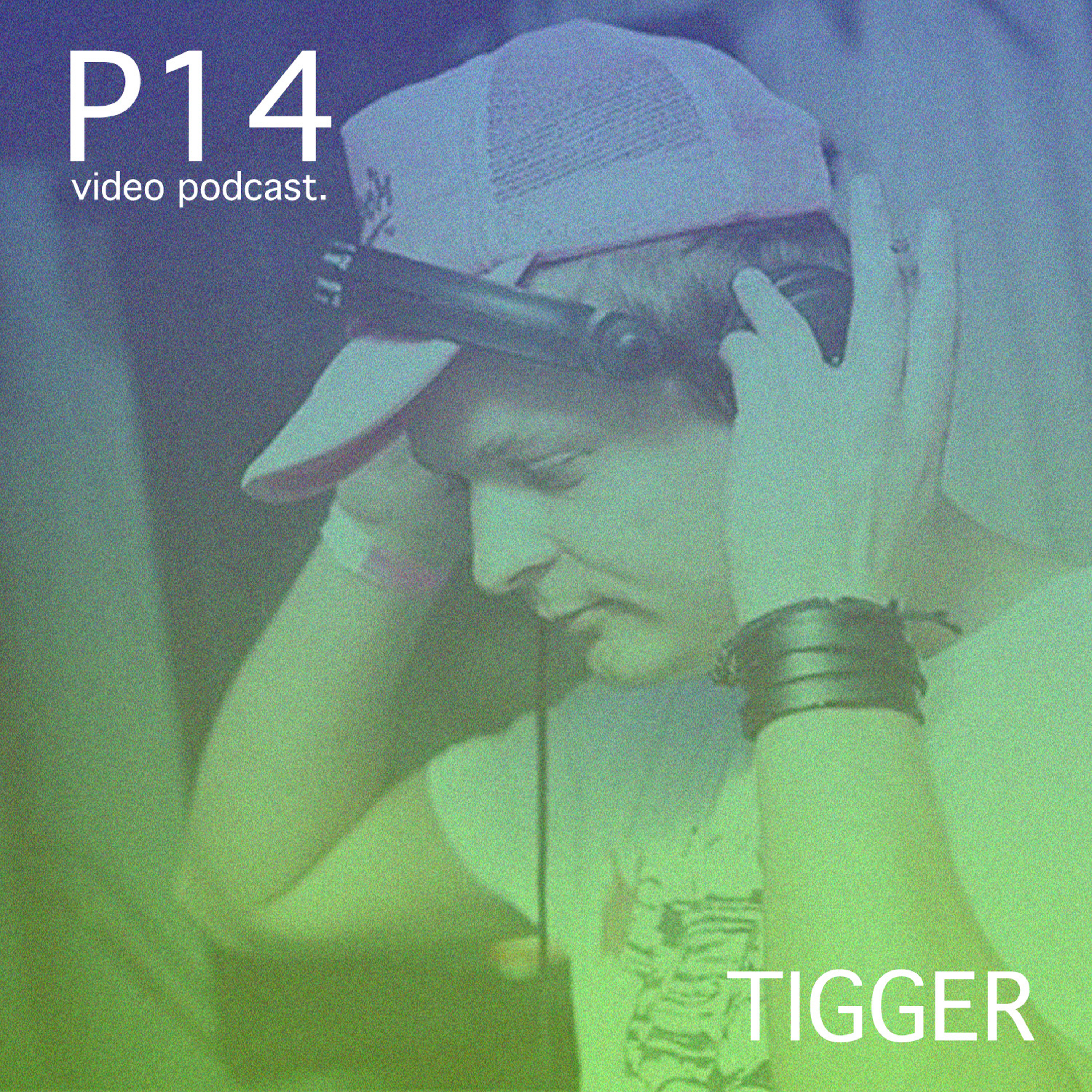 P14 video podcast