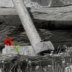 Faran Ensemble-Wind