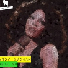 Andy Buchan - U Did It (Fatboy Anne Edit)