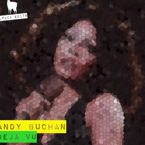 Andy Buchan - U Did It (Fatboy Anne Edit)