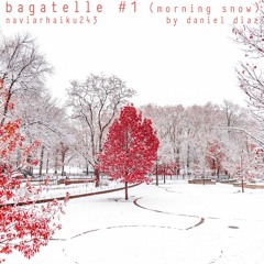 Bagatelle Numero 1: winter snow (naviarhaiku243)