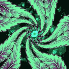 Behringer Model D - Obligatory spacey noodle test