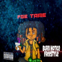 Burn Notice Freestyle