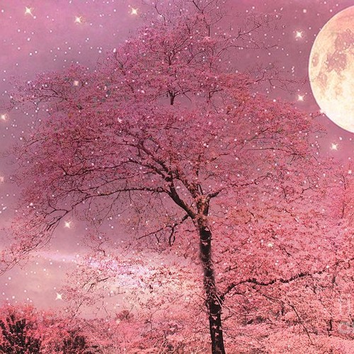 Warmth (FREE BEAT)instructions in description