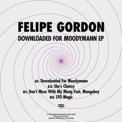 Premiere: Felipe Gordon 'Downloaded For Moodymann'