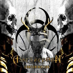 Ashes Reborn - Not Machines