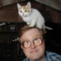 Kittys are so nice (bubbles cover)