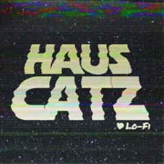 Haus Catz <3 LO-FI Mix
