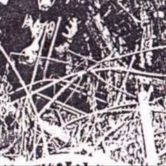 IDIEDINMYDREAMSTHEOTHERNIGHT ft. blkdune (Prod. SantosSantana x Mark88beats)