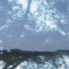 forever and continually (EP) ft. dead esther & evryn
