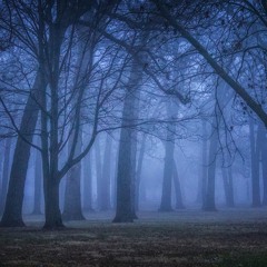 Piano Heavy/Modern Classical/Ambient
