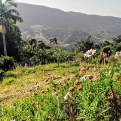 Lunar Night Come To Light