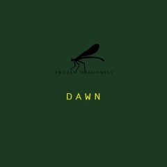 Day 3 - Dawn