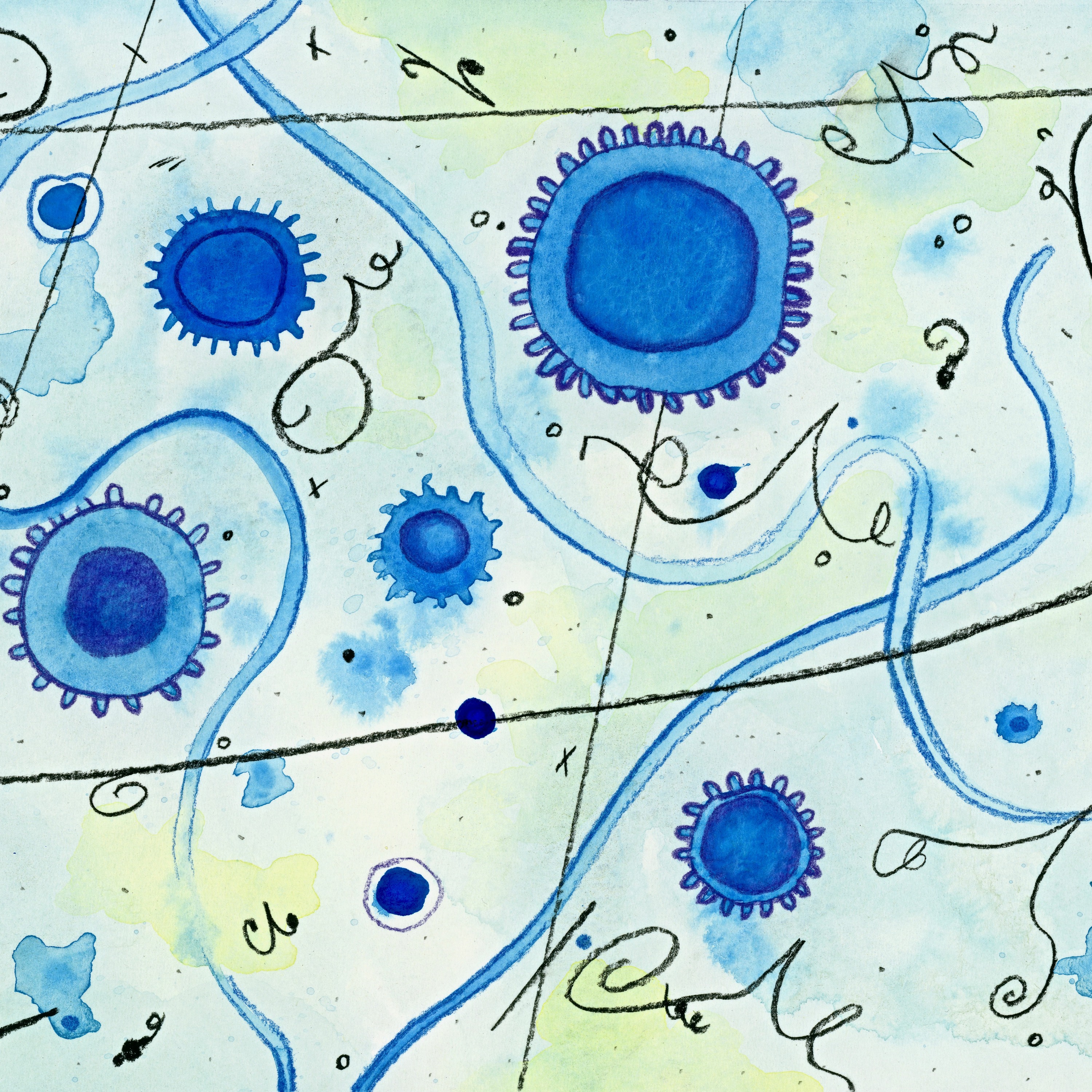 RadioBio
