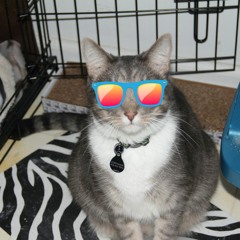 Pakistan Techno- White Paper Science